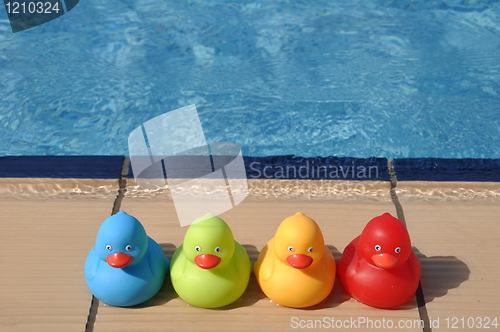 Image of Rubber ducks