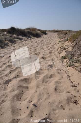 Image of Beach walkway