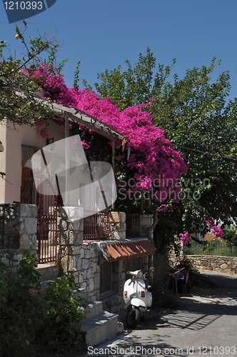 Image of Greek house with bougainvillea and scooter