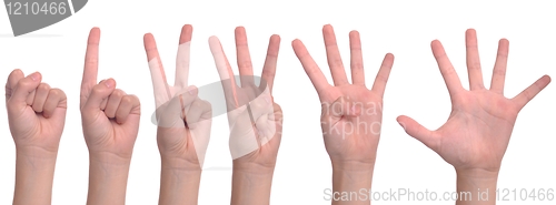 Image of Woman hands counting