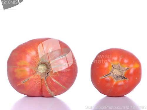 Image of Biological tomatoes