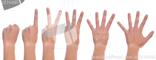 Image of Woman hands counting