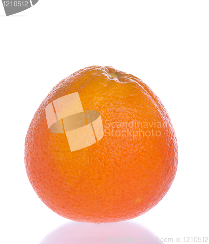 Image of Orange