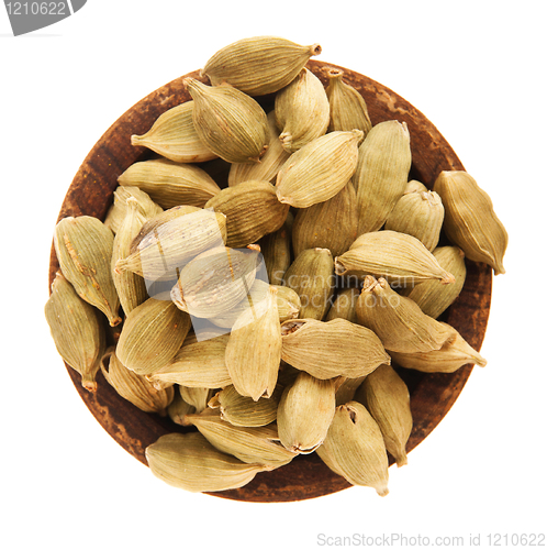 Image of Cardamom pods