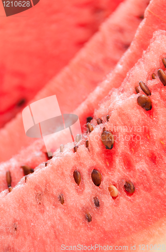 Image of Watermelon background