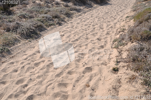 Image of Beach walkway