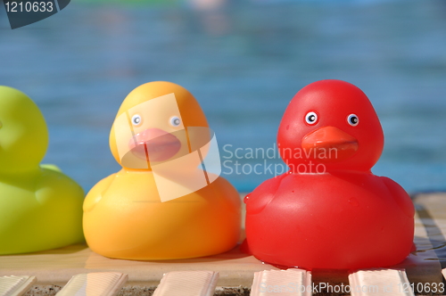 Image of Rubber ducks