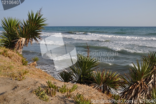 Image of Marbella beach