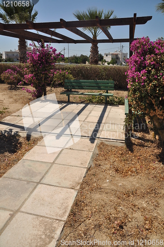 Image of Bench and bougainvillea flowers