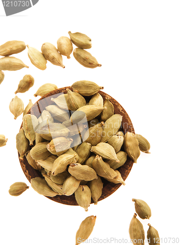 Image of Cardamom pods