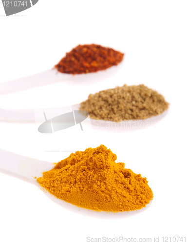 Image of Indian spices in spoons