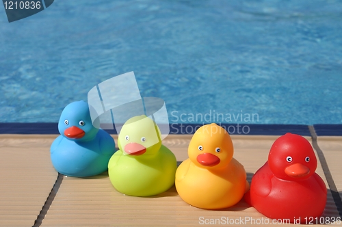 Image of Rubber ducks