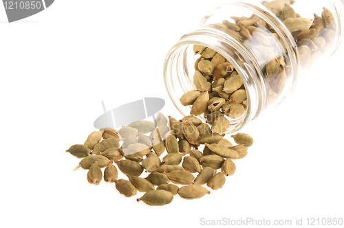 Image of Cardamom pods
