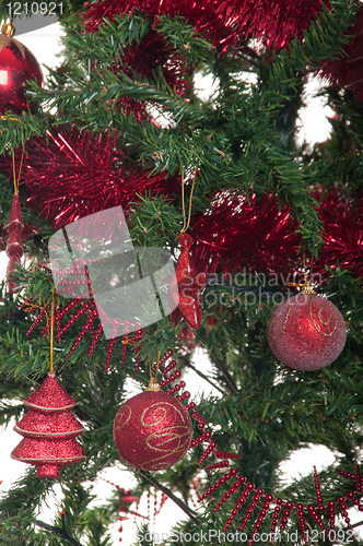 Image of Christmas tree background