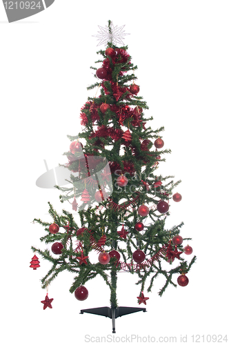 Image of Christmas tree