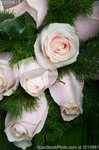 Image of Pink roses bouquet
