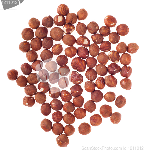 Image of Hazelnuts