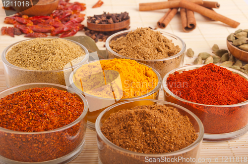 Image of Spices and herbs