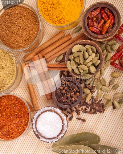 Image of Spices and herbs