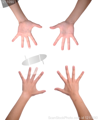 Image of Woman hands