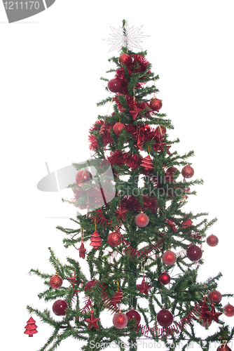 Image of Christmas tree