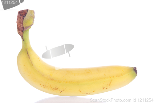 Image of Banana