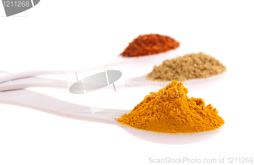 Image of Indian spices in spoons