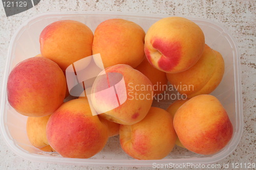 Image of Apricots