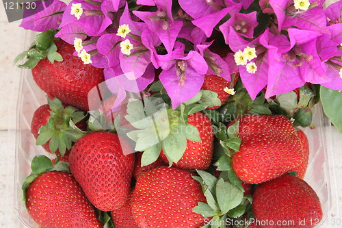 Image of Strawberries and bougainvillea