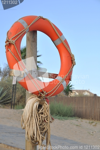 Image of Lifebuoy