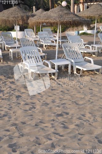 Image of Beach chairs and umbrellas