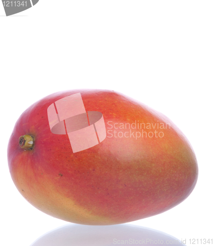 Image of Mango