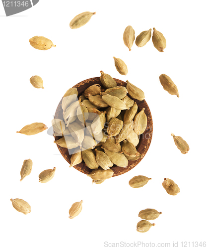 Image of Cardamom pods