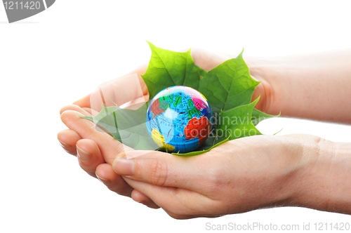 Image of globe in hand