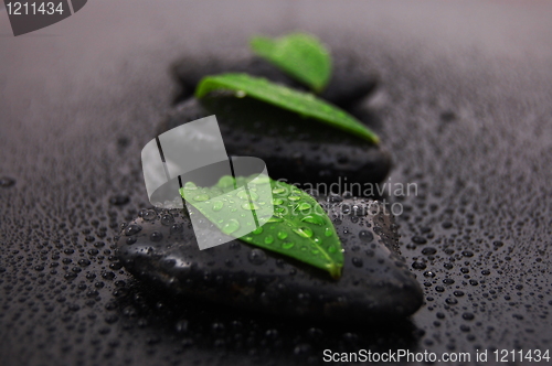 Image of zen stone wellness concept