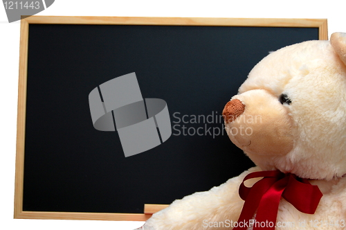 Image of teddy with empty blackboard
