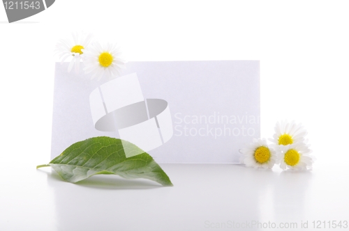 Image of blank paper
