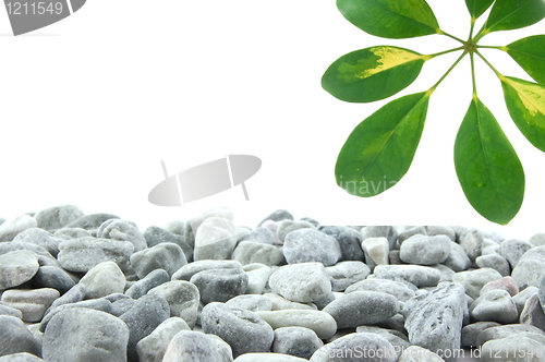 Image of stones and leaf