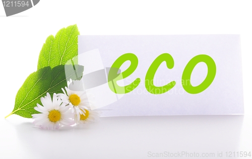 Image of eco