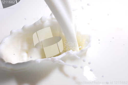 Image of milk splash