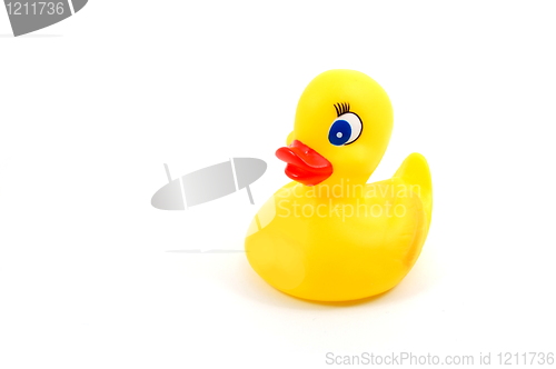 Image of toy rubber duck 