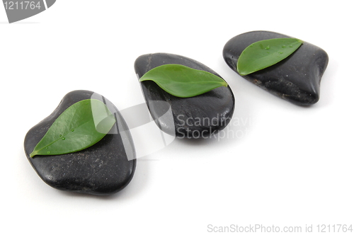 Image of stones isolated on white background