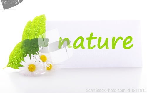 Image of nature