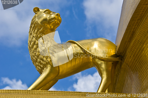 Image of Golden lion