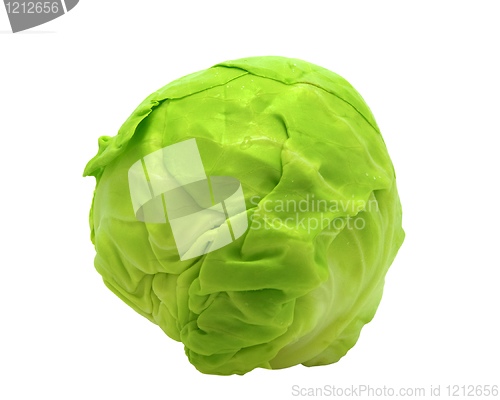 Image of Cabbage