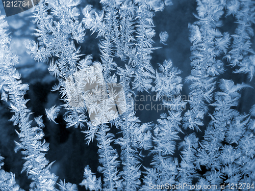 Image of blue frosty natural pattern