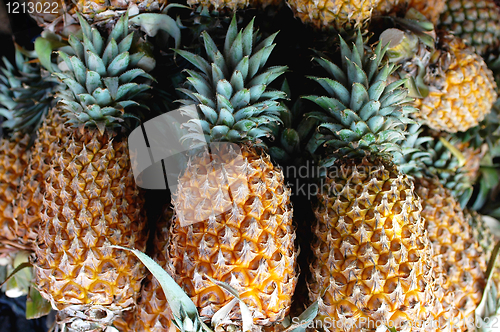 Image of Pineapples