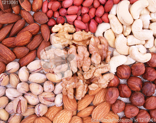 Image of Assorted filbert, peanut, pistachios, walnut, almonds and hazeln