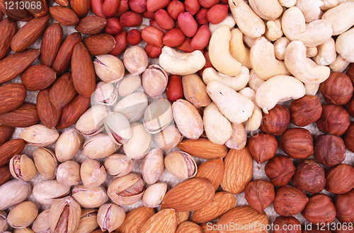 Image of Assorted filbert, peanut, pistachios, almonds and hazelnuts 