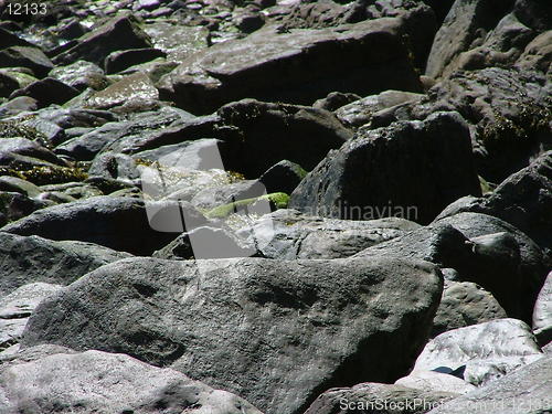 Image of rocks01